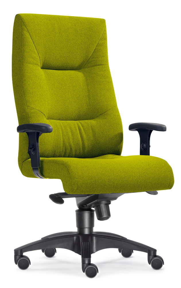 BrigFox, Moebel, Kissen, Dekoration für Zuhause, Stuhl, Sessel