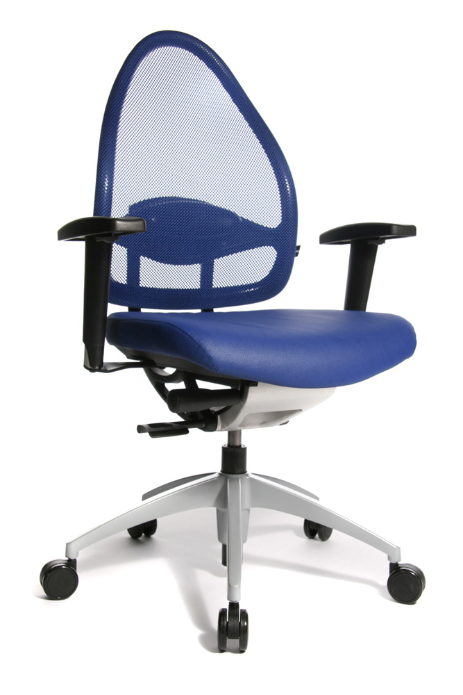 BrigFox, Kissen, Dekoration für Zuhause, Stuhl, Mobiliar, Kopfstütze