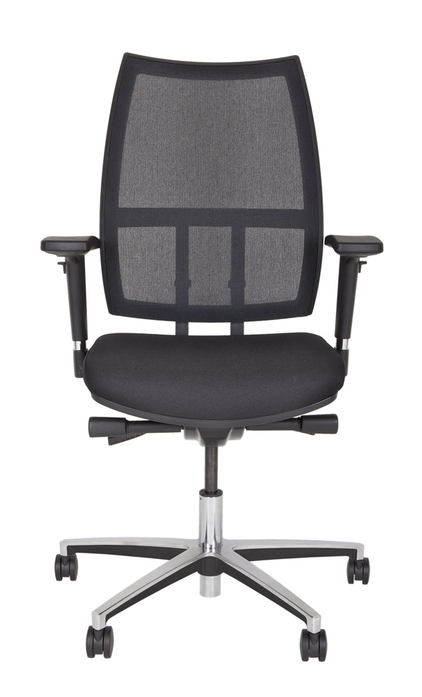 DSM733_F.jpg BrigFox, Kissen, Dekoration für Zuhause, Mobiliar, Stuhl