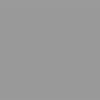 RAL9006.jpg BrigFox, Grau