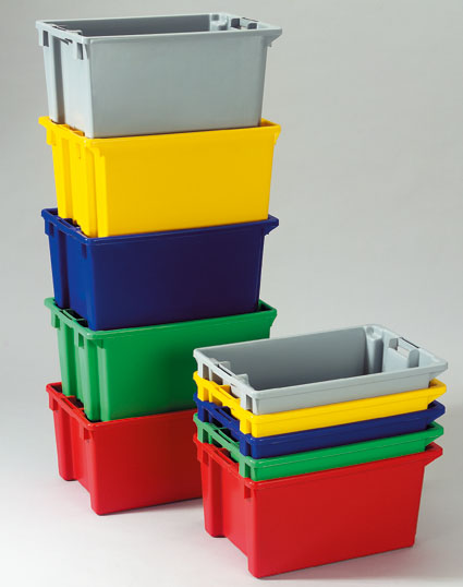 POLYBO11.jpg BrigFox