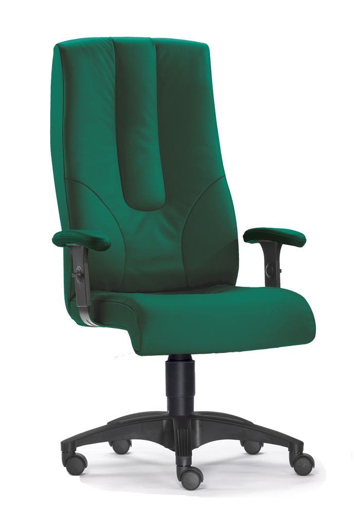 BrigFox, Moebel, Kissen, Dekoration für Zuhause, Stuhl, Rad