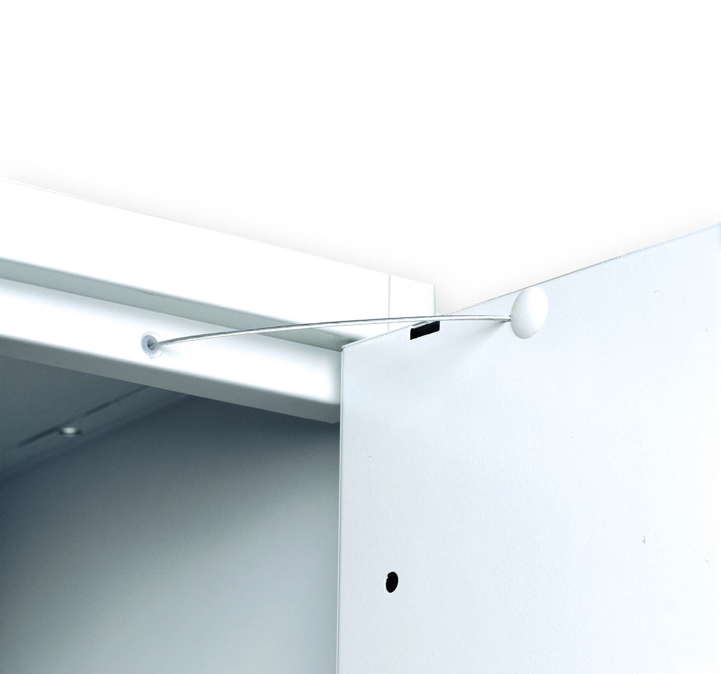 CA6011_Detail_2.jpg BrigFox