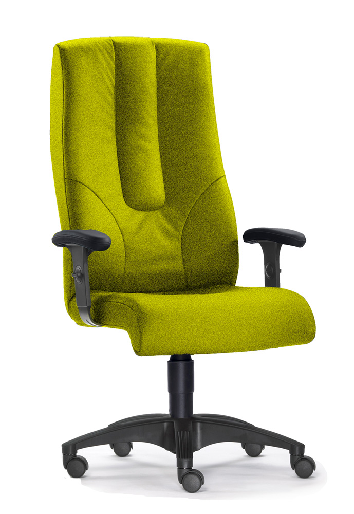 BrigFox, Moebel, Stuhl, Kissen, Dekoration für Zuhause, Sessel