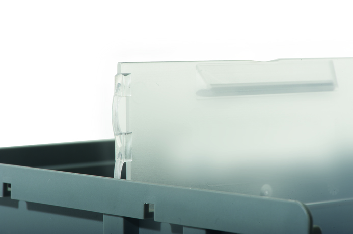 BJW_3828.jpg BrigFox