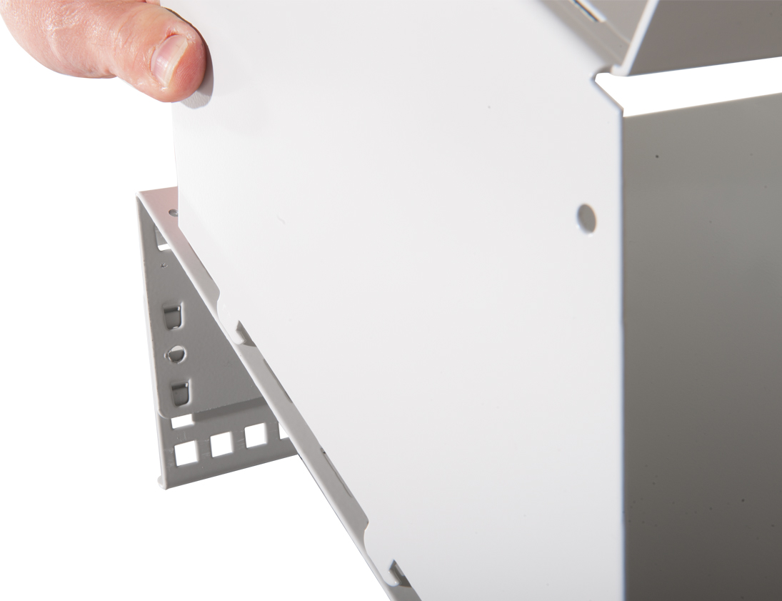 BJW_3776.jpg BrigFox