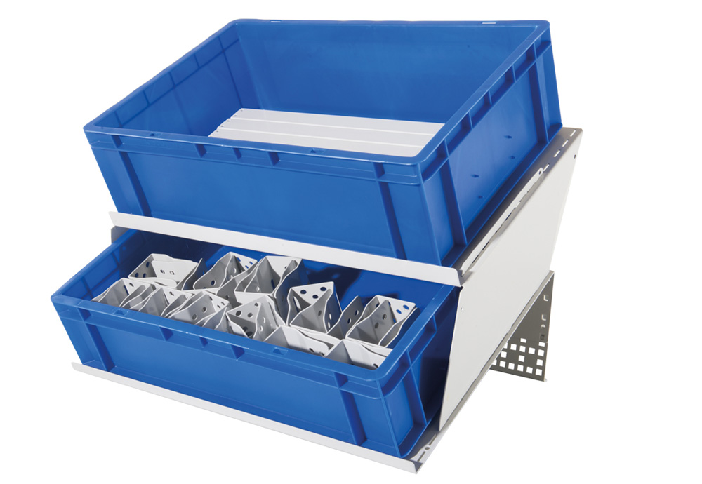 BJW_3709.jpg BrigFox