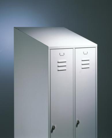 CA5006.jpg BrigFox