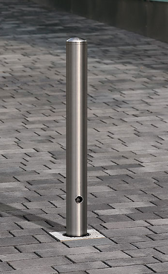 ASE_34_4.jpg BrigFox