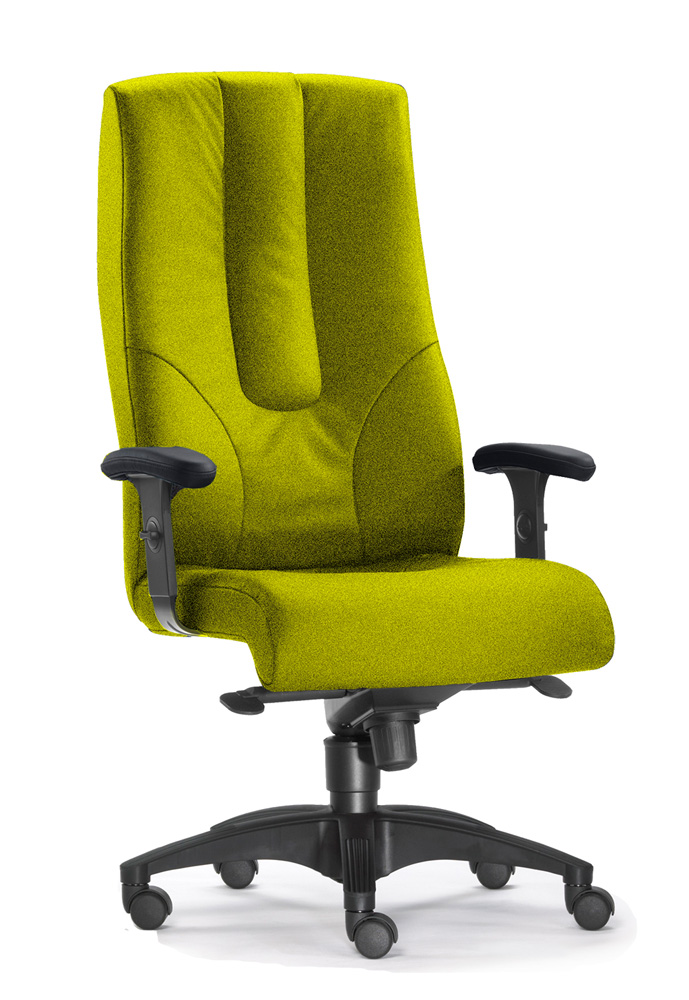 BrigFox, Moebel, Kissen, Dekoration für Zuhause, Stuhl, Sessel
