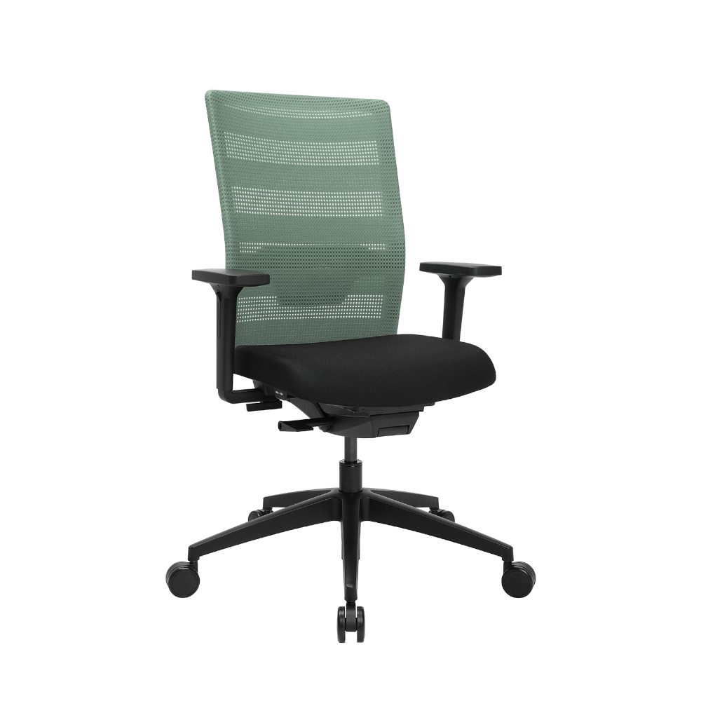 00

Users
jsprinc
Downloads
20250228
2
topstar-buerostuhl-airwork-mint-ts4369-002.jpg
JPG-Datei
