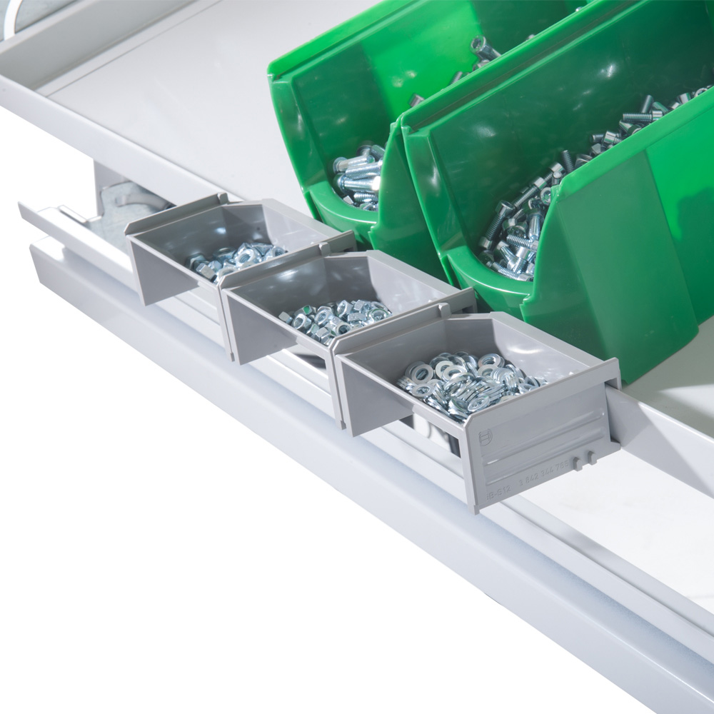 BJW_3870.jpg BrigFox