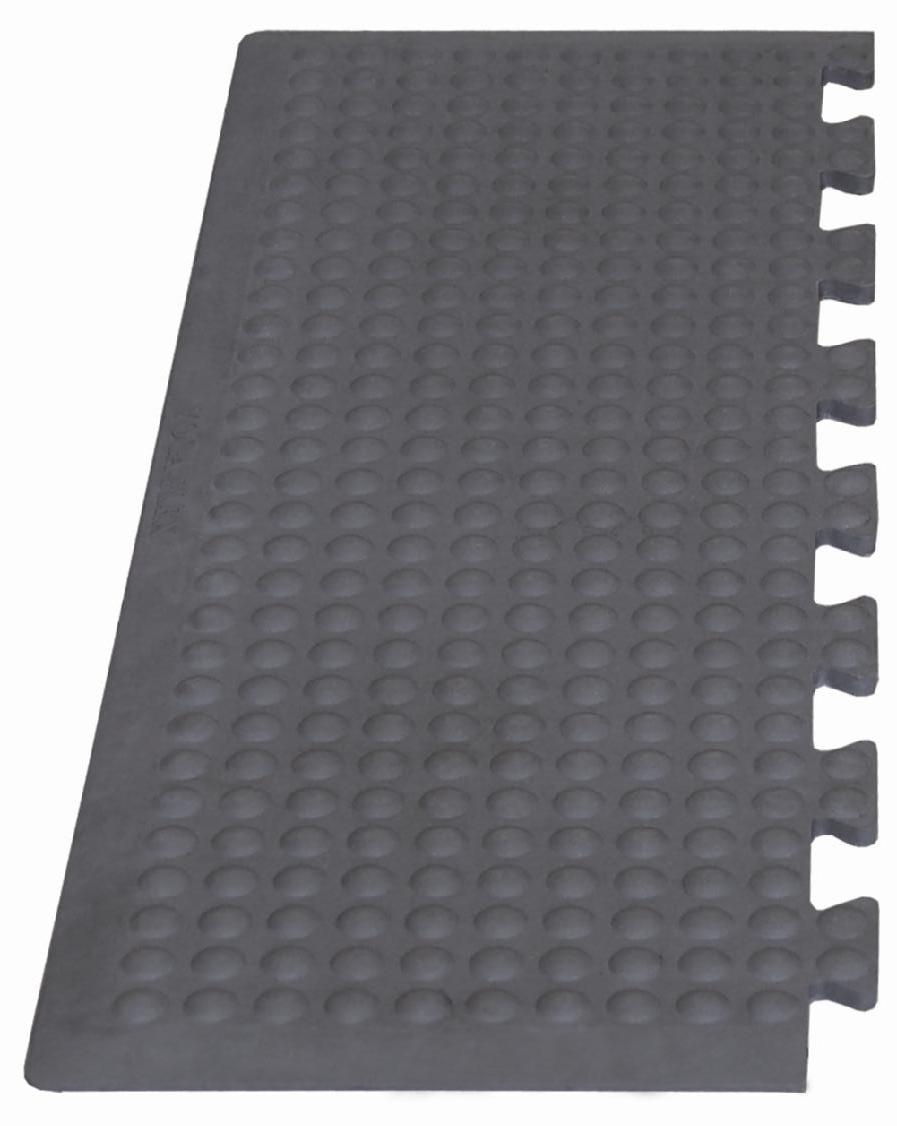 TM0158_1.jpg BrigFox