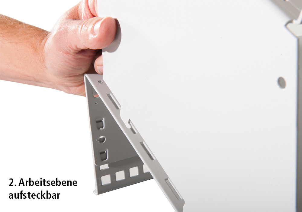 BJW_3777.jpg BrigFox