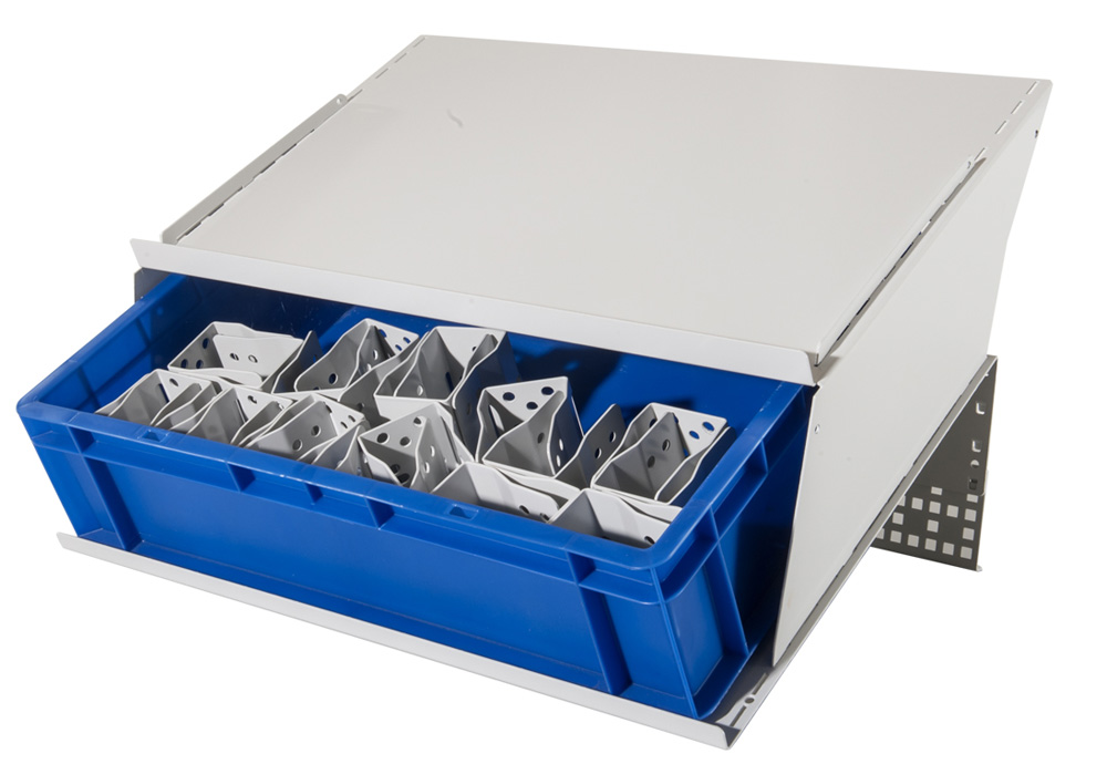 BJW_3710.jpg BrigFox