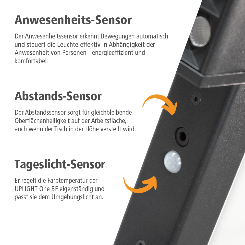 BM0113-Standleuchte-Sensoren-Text-RAL-9005.jpg BrigFox