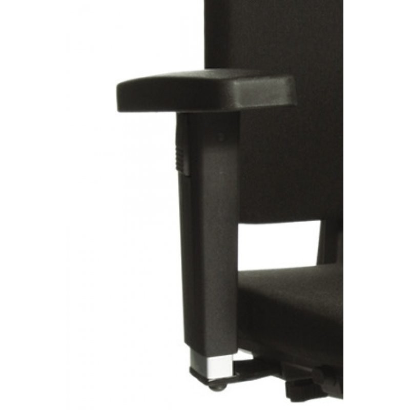 TS4208.jpg BrigFox