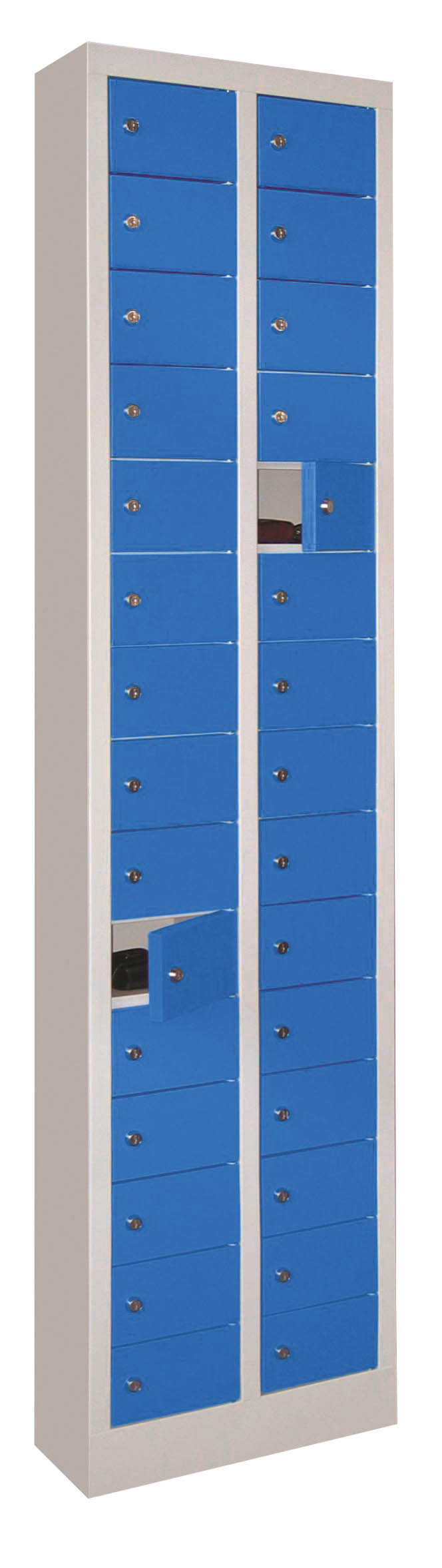 CB0933_5010.jpg BrigFox