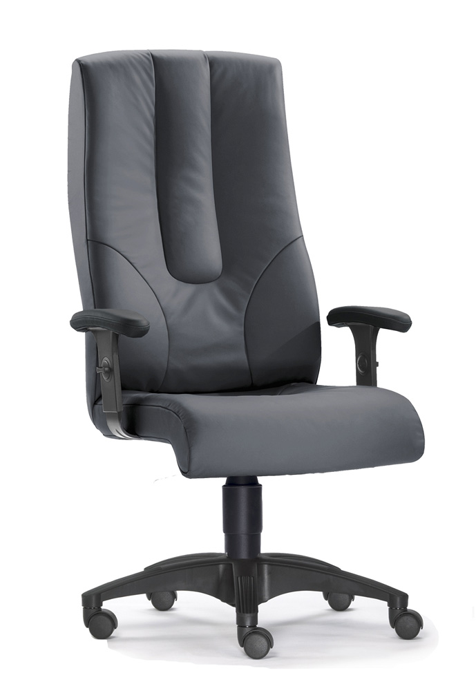 BrigFox, Kissen, Dekoration für Zuhause, Mobiliar, Stuhl, Rad