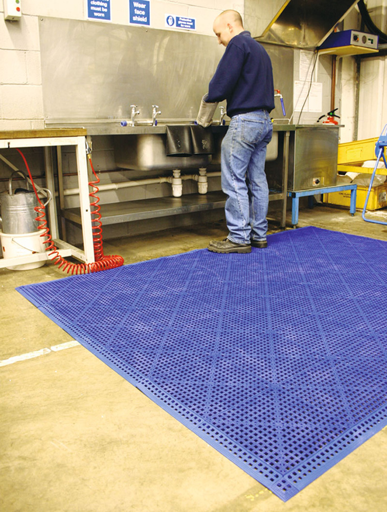 TM0613_live.jpg BrigFox