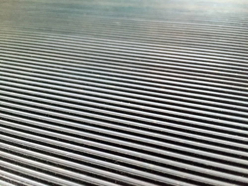 SF0305_1.jpg BrigFox