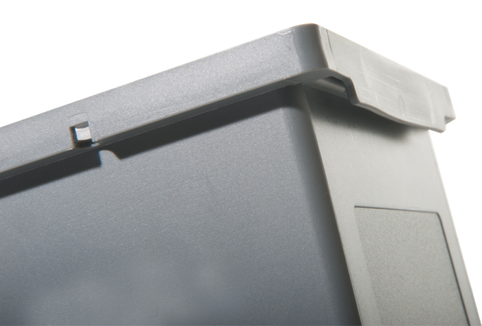 BJW_3826.jpg BrigFox