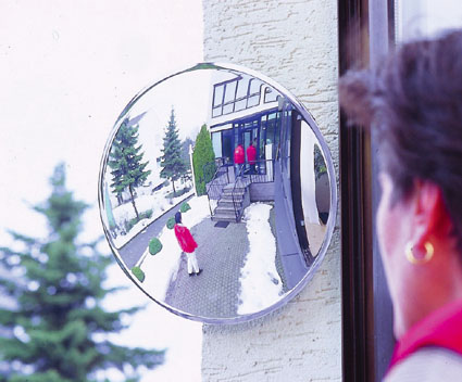 247B0145.jpg BrigFox