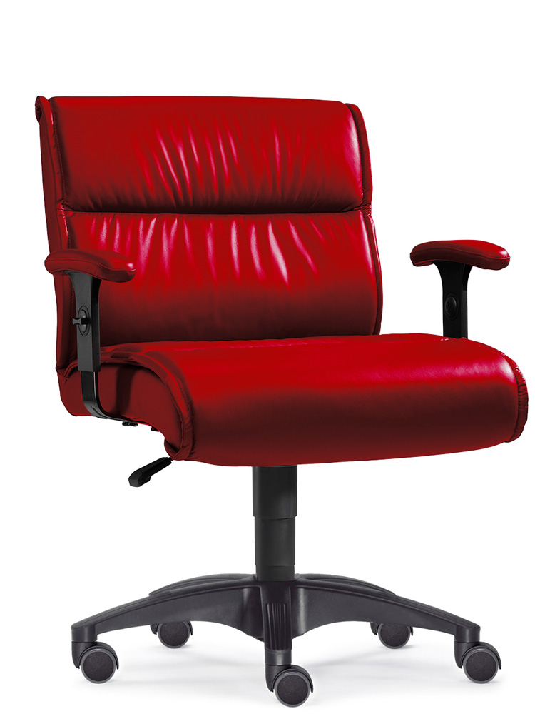 TS0300.jpg BrigFox, Moebel, Stuhl, Kissen, Dekoration für Zuhause, Sessel