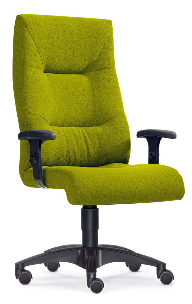 BrigFox, Moebel, Stuhl, Kissen, Dekoration für Zuhause, Sessel