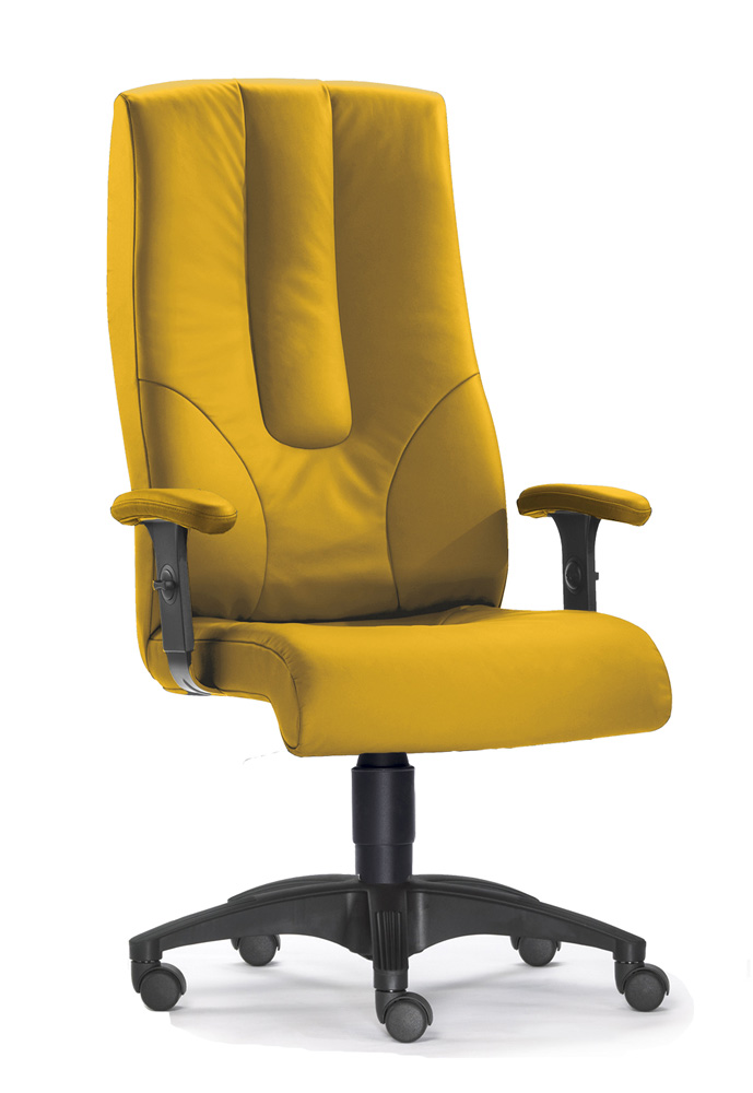 BrigFox, Moebel, Kissen, Dekoration für Zuhause, Stuhl, Sessel