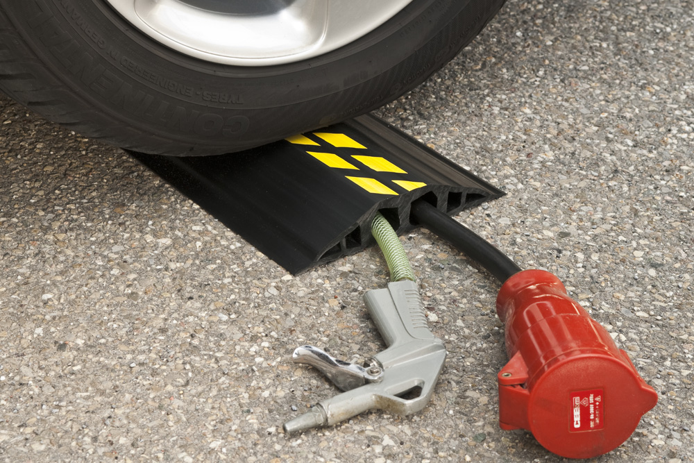 TM0204_Detail.jpg BrigFox