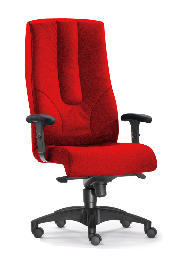 TS0253_TS0259.jpg BrigFox, Kissen, Dekoration für Zuhause, Mobiliar, Stuhl
