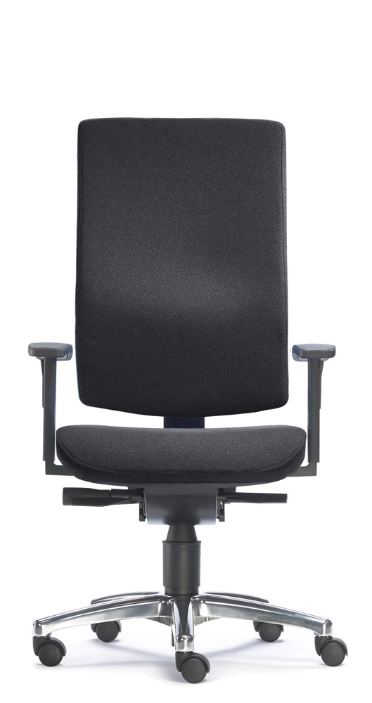 ERGO_ART.jpg BrigFox, Kissen, Dekoration für Zuhause, Mobiliar, Stuhl, Rad