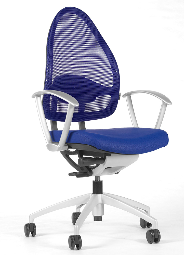 BrigFox, Kissen, Dekoration für Zuhause, Mobiliar, Stuhl, Rad