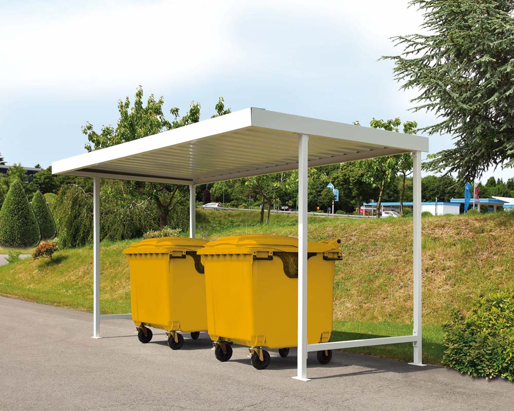 UD0220_1.jpg BrigFox