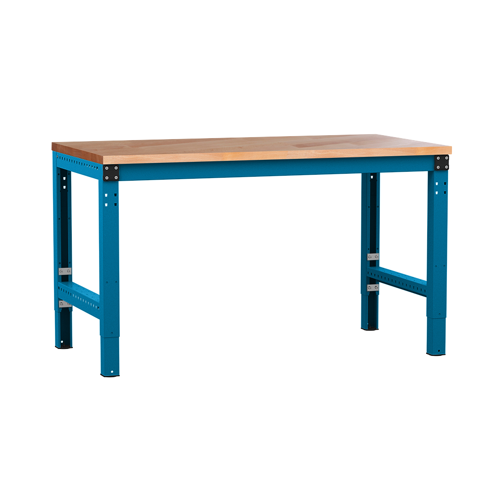 PPK3002.5012-PROFIPLAN-Grundwerkbank-Spezial-Buchenplatte-40mm-lichtblau.jpg BrigFox