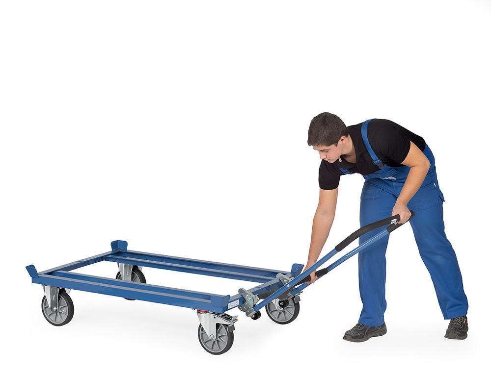 TB4547_Anw1.jpg BrigFox