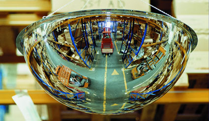 250B0085.jpg BrigFox