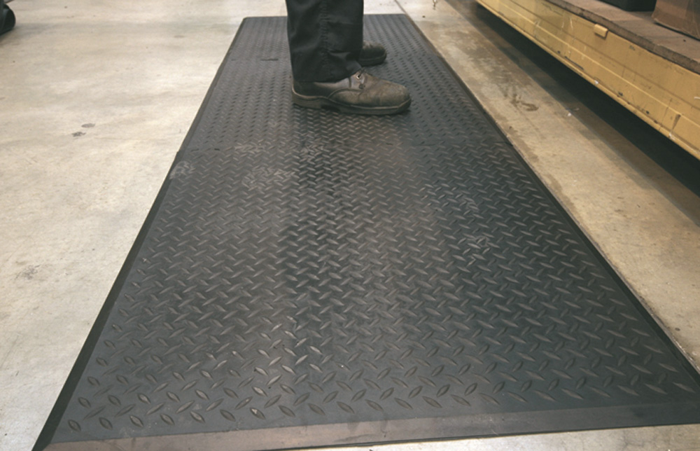 TM0461_TM0463.jpg BrigFox