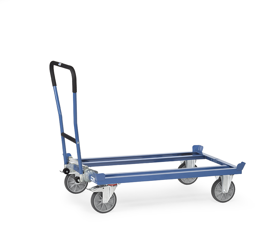 TB4547_live.jpg BrigFox