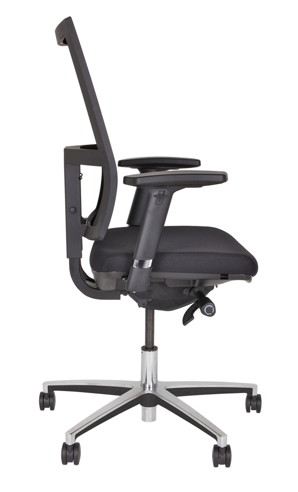 DSM733_L.jpg BrigFox, Kissen, Dekoration für Zuhause, Mobiliar, Stuhl, Kopfstütze