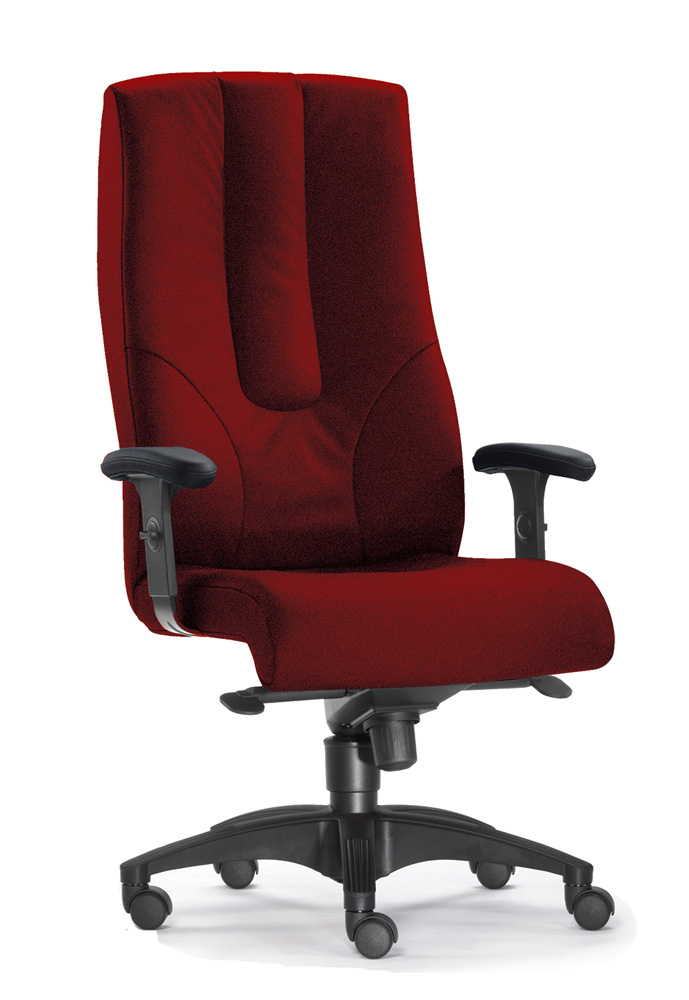 TS0254_TS0260.jpg BrigFox, Kissen, Dekoration für Zuhause, Mobiliar, Stuhl