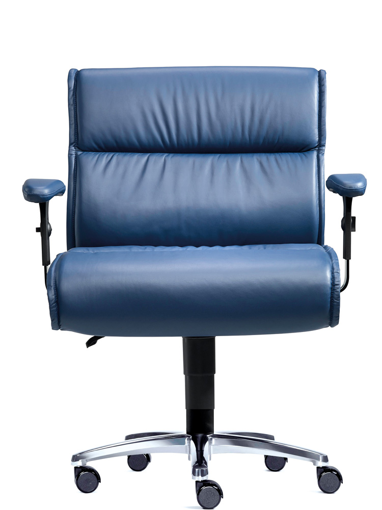 BrigFox, Moebel, Kissen, Dekoration für Zuhause, Stuhl, Sessel