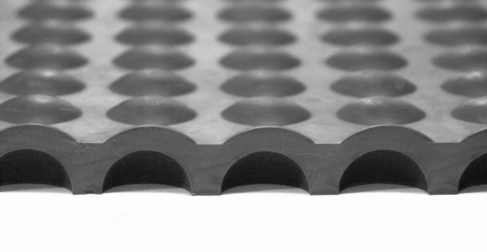 TM0156_quer.jpg BrigFox