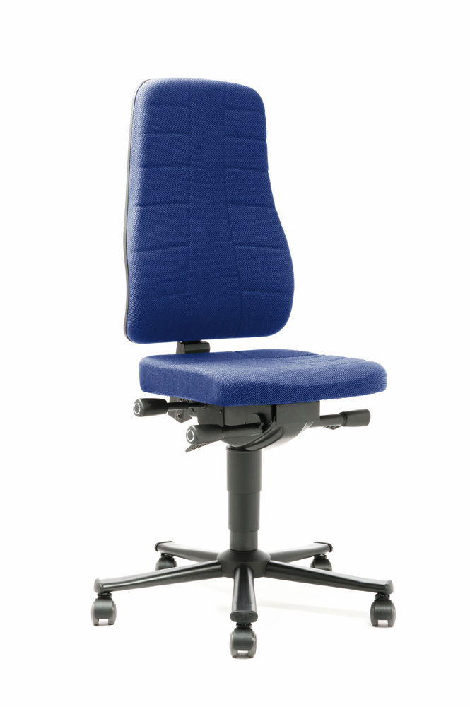 TP4381.jpg BrigFox