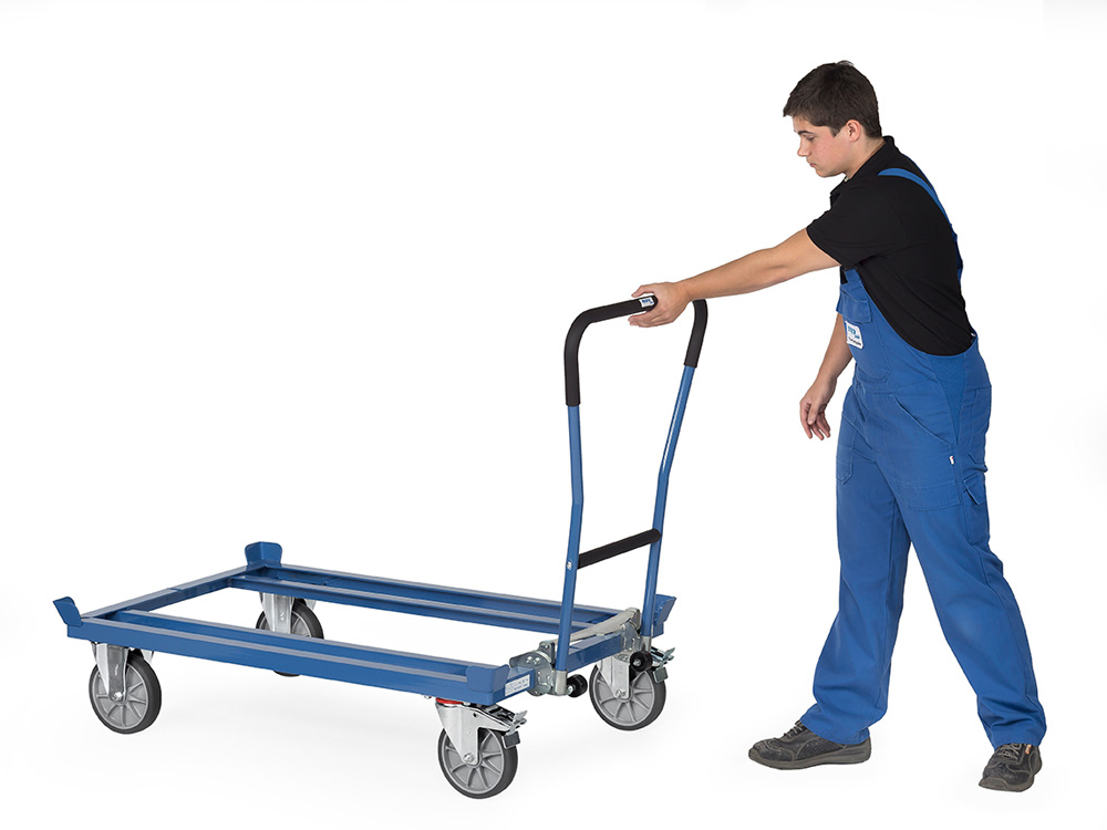 TB4547_Anw2.jpg BrigFox