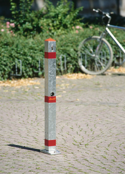 AS125PT0.jpg BrigFox