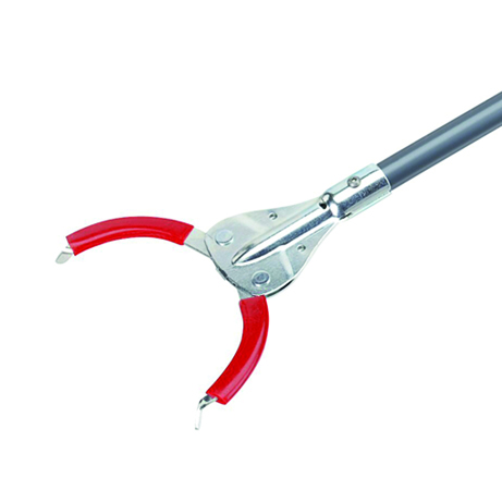 AN1009_Detail.jpg BrigFox