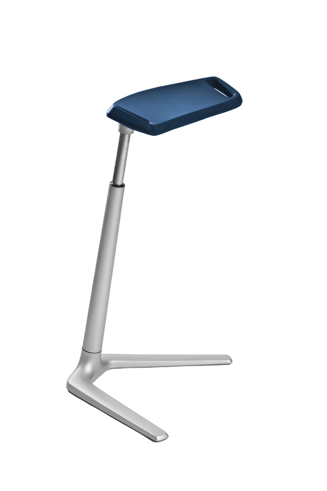 TP1133.jpg BrigFox