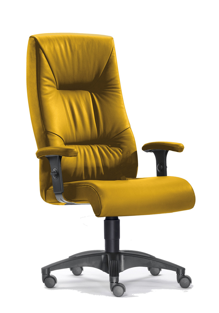 BrigFox, Moebel, Stuhl, Kissen, Dekoration für Zuhause, Sessel